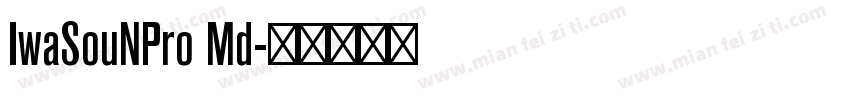 IwaSouNPro Md字体转换